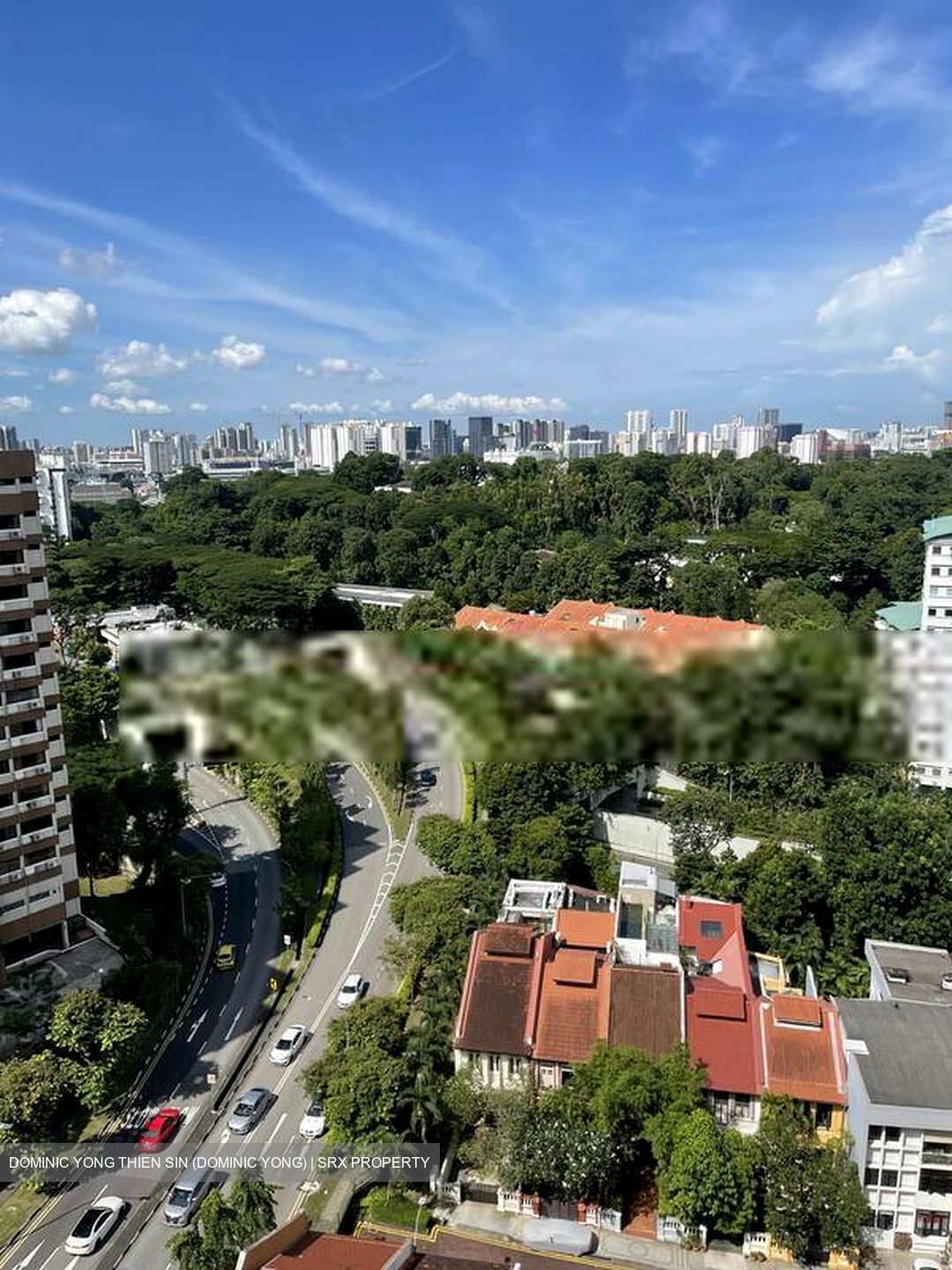 Cairnhill Crest (D9), Condominium #563589151